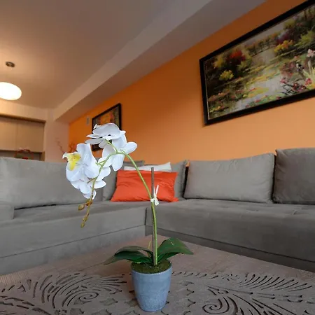 Diva Capitol Luxury *